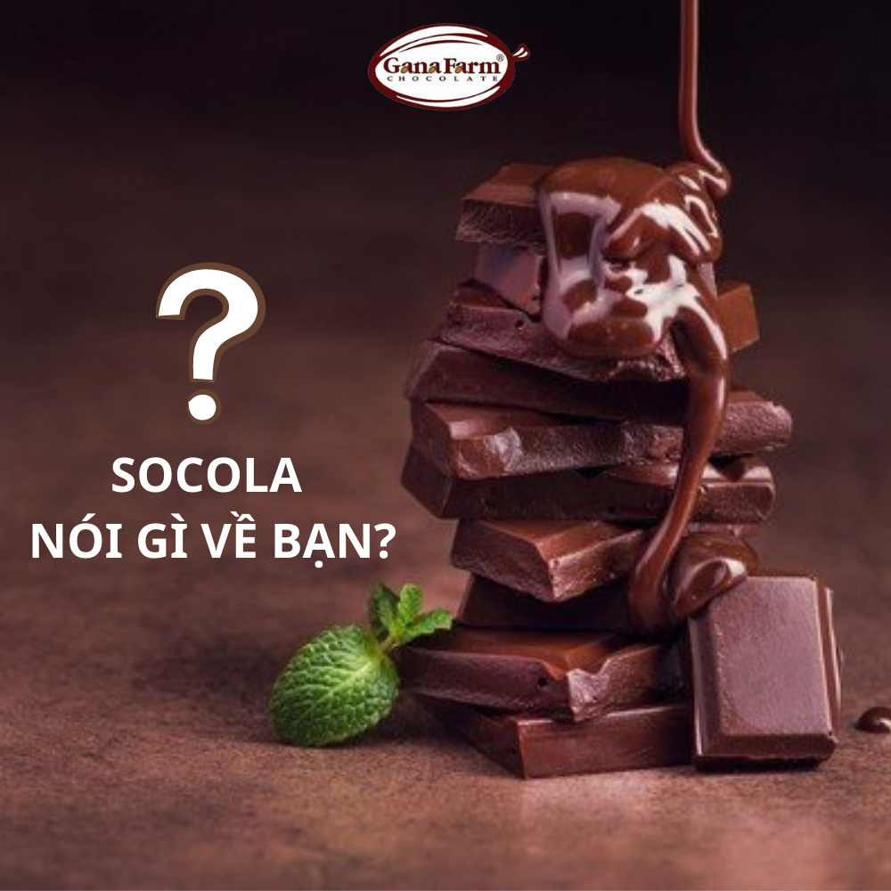 Socola nói gì về bạn?