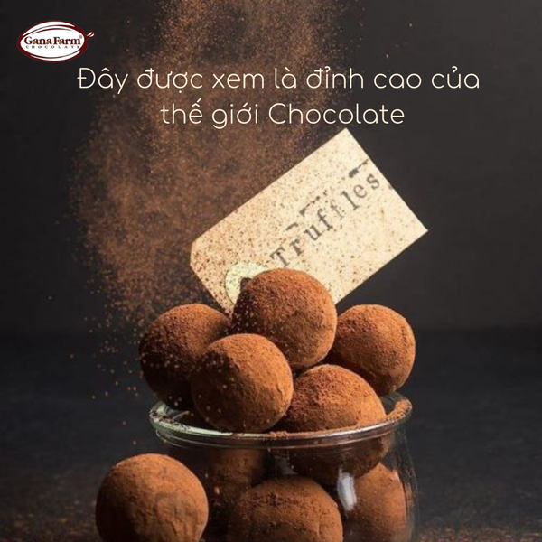 CHOCOLATE TRUFFLE VÀ NHỮNG ĐIỀU THÚ VỊ Công ty TNHH Đại Hiền Tâm