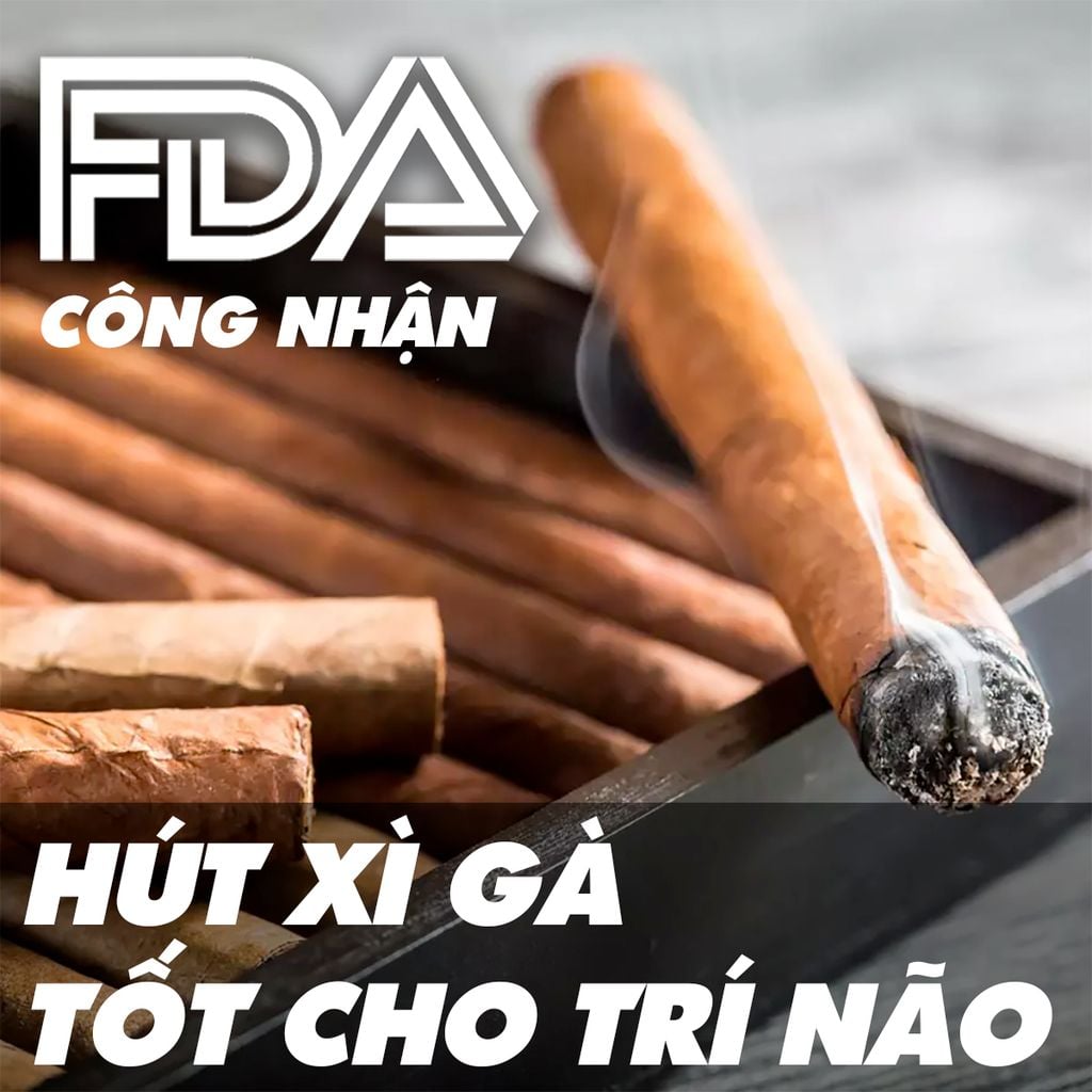 FDA Công Nhận Hút Xì Gà Giảm Nguy Cơ Ung Thư Và Tốt Cho Trí Não