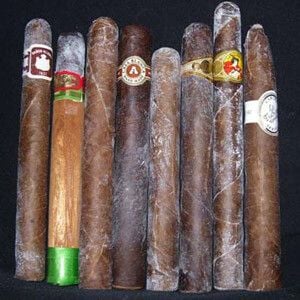 Xì gà bị Mốc ? Cách cứu chữa và khắc phục Xì gà mốc !