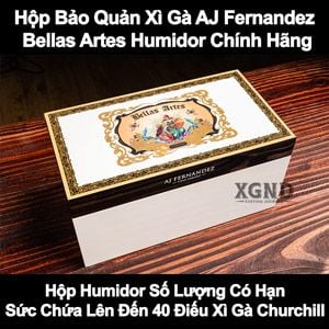 Sự Kết Hợp Giữa Xì Gà Và Nghệ Thuật - Hộp Humidor Bellas Artes Humidor