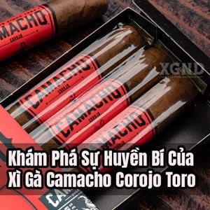 Khám Phá Sự Huyền Bí Của Xì Gà Camacho Corojo Toro