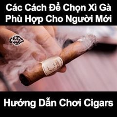 Các Cách Để Chọn Xì Gà Phù Hợp Cho Người Mới - Hướng Dẫn Chơi Cigars