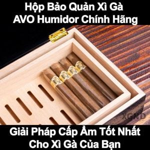 Humidor AVO: Bảo Quản Xì Gà Đẳng Cấp Cùng Thương Hiệu Davidoff