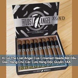 Xì Gà The Lost Angel Của Crowned Heads Bắt Đầu Giao Hàng Cho TAA