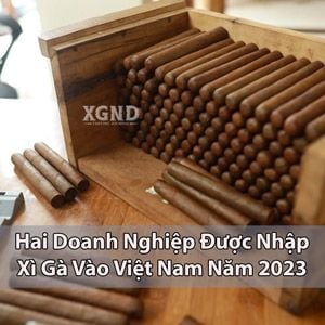 Hai Doanh Nghiệp Được Nhập Xì Gà Vào Việt Nam Năm 2023