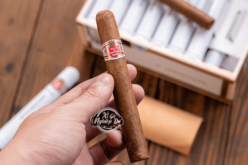 XGND - Hoyo De Monterrey Coronations