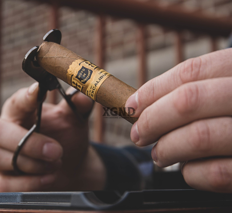 Cigar Hoyo De Monterrey Excalibur Epicure Natural - Xì Gà Chính Hãng