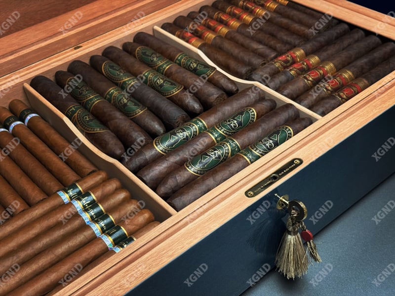 Sự kiện đấu giá humidor Procigar 2025 đỉnh cao của thế giới cigar