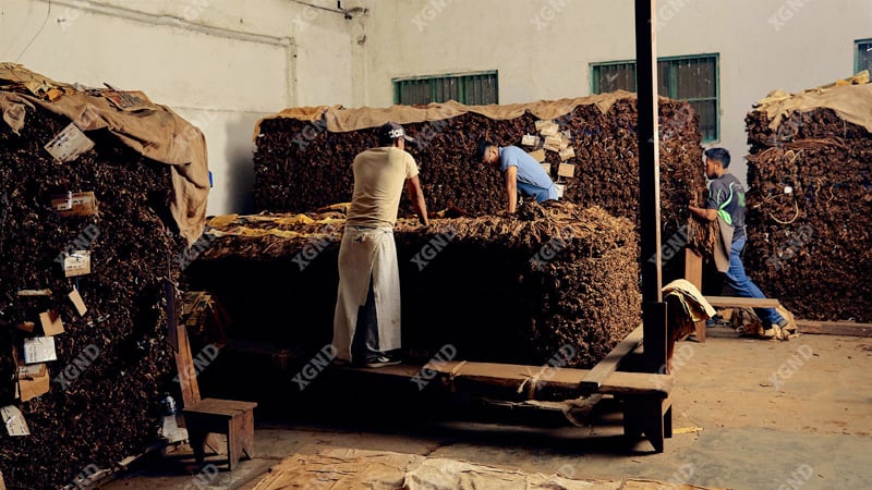 Hành Trình Huyền Thoại Viên Ngọc Đen San Andrés Của Thế Giới Xì Gà