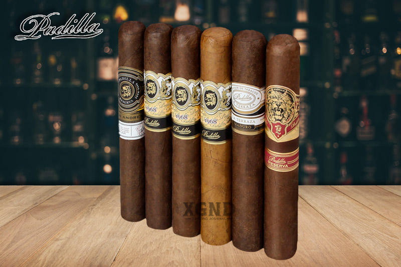 Cigar Padilla Vol I Gordo 6 Collection - Lốc 6 Điếu Xì Gà Chính Hãng