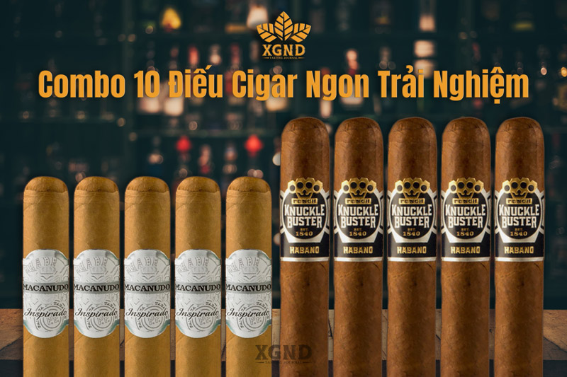 Combo 10 Điếu Cigar Ngon Trải Nghiệm Chính Hãng