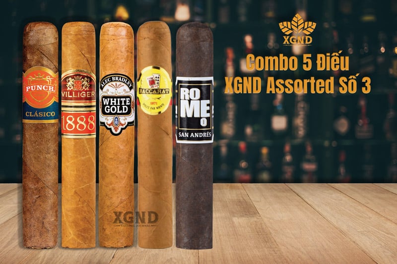 Combo 5 Điếu XGND Assorted Số 3 Chính Hãng