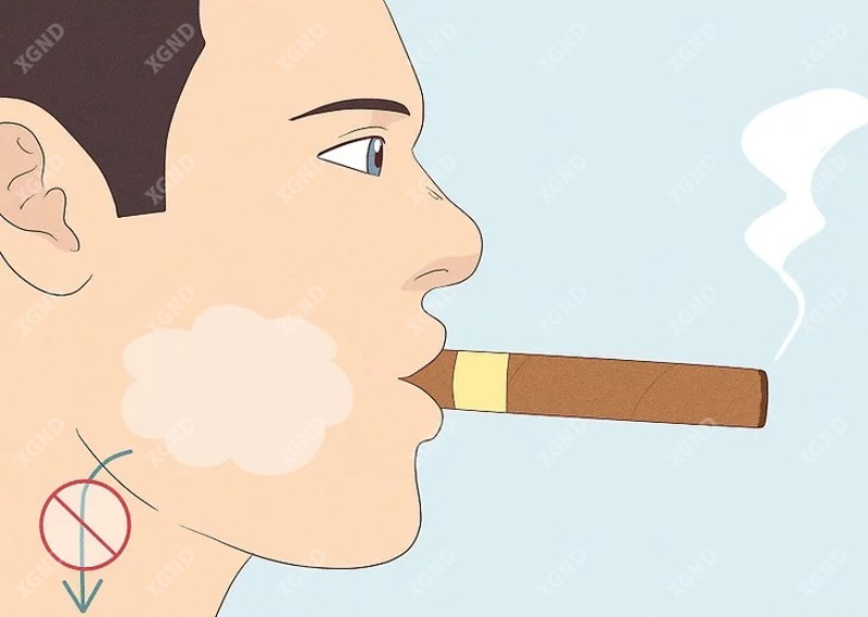 Hướng dẫn hút xì gà: Tận hưởng trọn vẹn nghệ thuật thưởng thức xì gà từ A đến Z