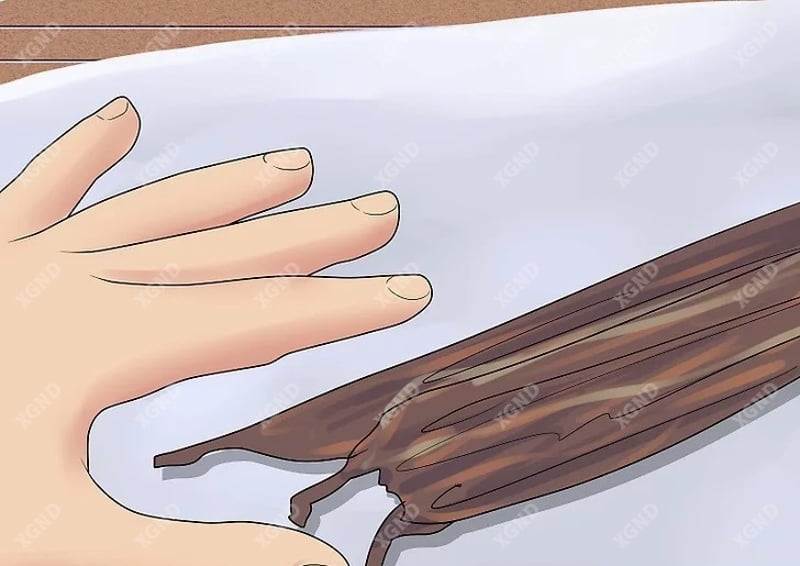 Hướng dẫn cách cuốn xì gà thủ công chuẩn như chuyên gia