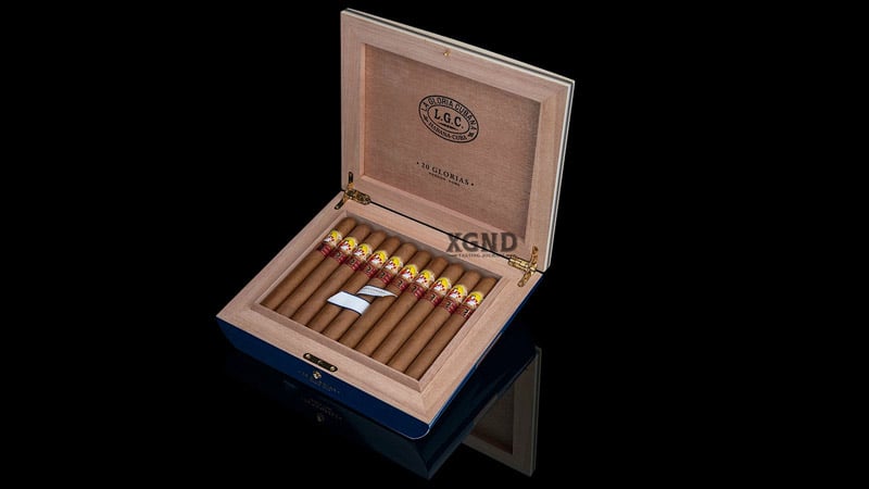 xi gà chính hãng, shop xì gà hcm uy tín lounge cigar xi ga cao cap cuba