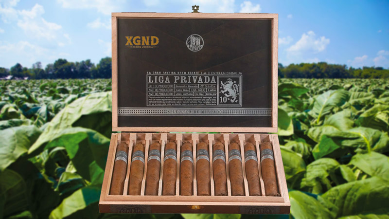 Shop xì gà hcm, xì gà chính hãng, xì gà giá rẻ, xì gà cohiba, xì gà fuente hcm