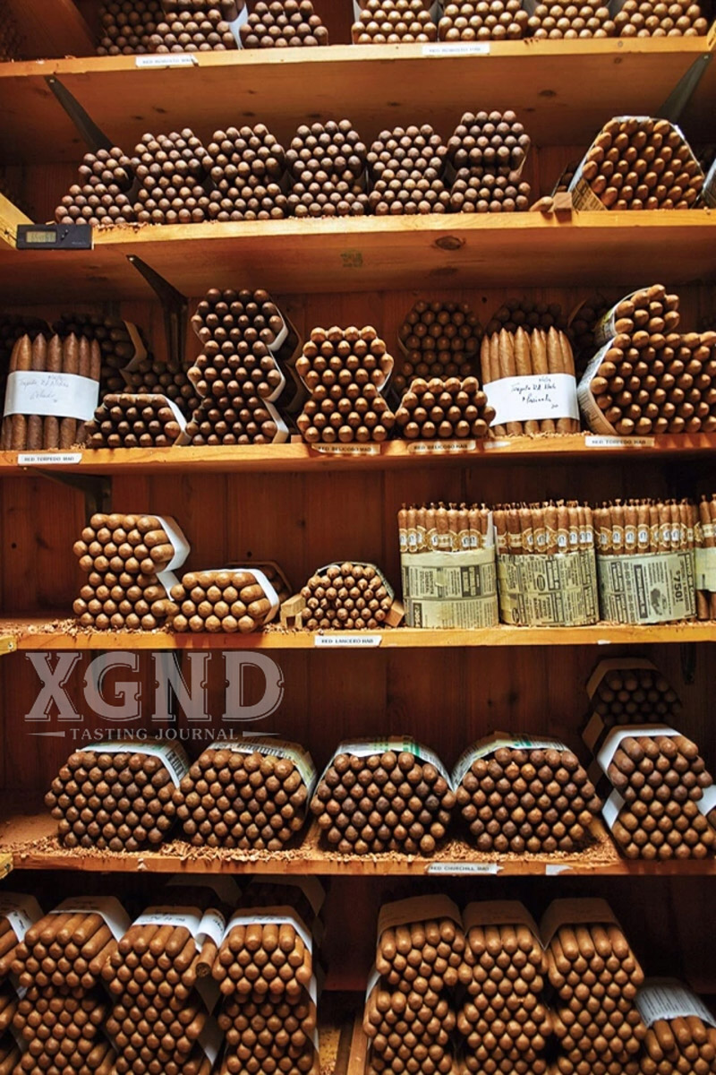 xi gà chính hãng, shop xì gà hcm uy tín lounge cigar xi ga cao cap cuba