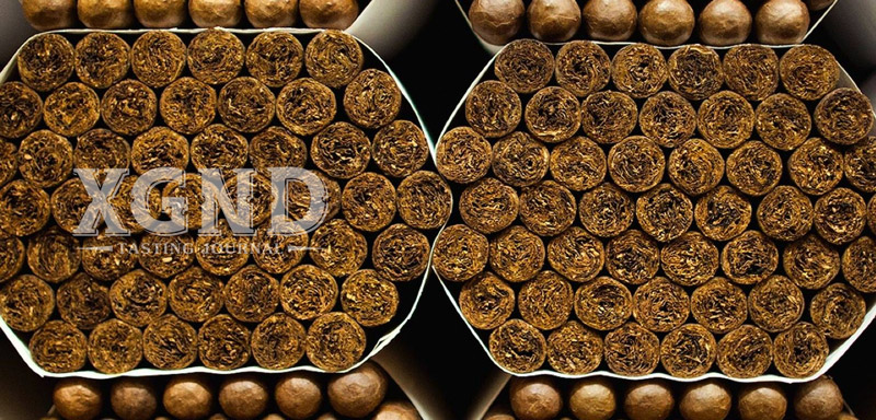 xi gà chính hãng, shop xì gà hcm uy tín lounge cigar xi ga cao cap cuba