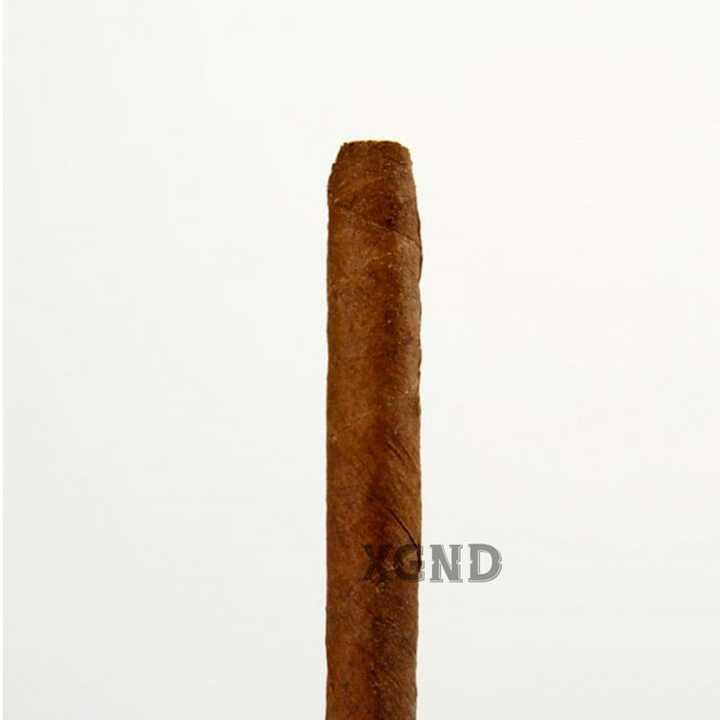 Cigar Meine Cigarillos 20er Sumatra