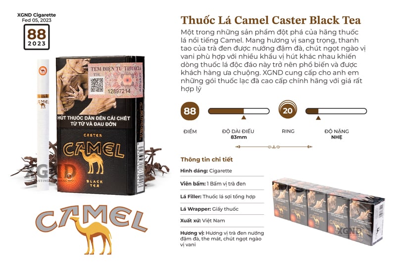 Thuốc Lá Camel Caster Black Tea - Thuốc Lá Bấm Vị Trà Đen