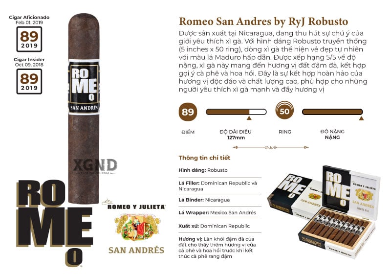 Romeo San Andres by Romeo y Julieta Robusto