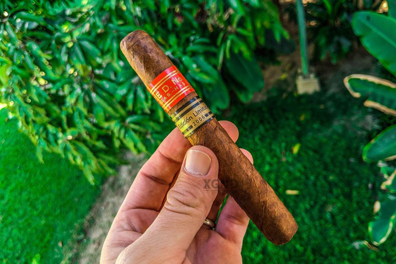 Cigar Cuba Partagas Serie D No 3 Edicion Limitada 2006 -  Xì Gà Cuba Chính Hãng - Hộp 25 Điếu