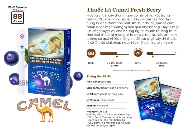 Thuốc Lá Camel Fresh Berry - Camel Lạc Đà Hai Bấm