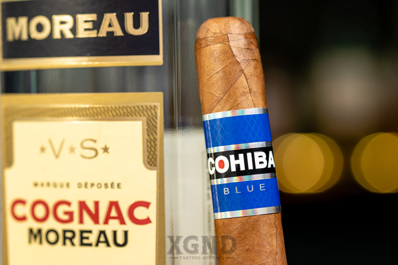 xi ga cohiba hcm