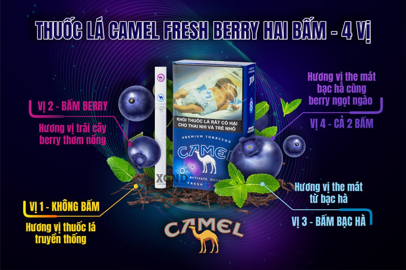 Thuốc Lá Camel Fresh Berry - Camel Lạc Đà Hai Bấm