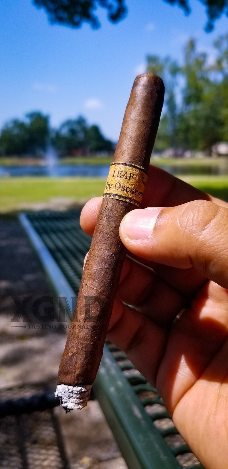 XGND - Leaf by Oscar Maduro Lancero