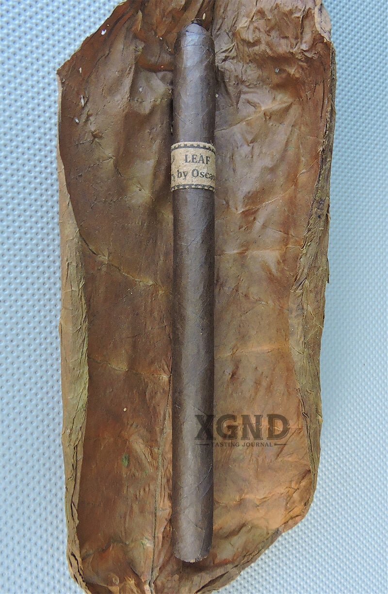 XGND - Leaf by Oscar Maduro Lancero