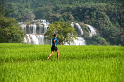 Một khu rừng kỳ lạ? (P3)