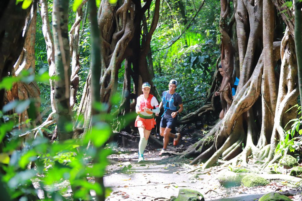 Hoà điệu âm vang nơi rừng già Cát Tiên