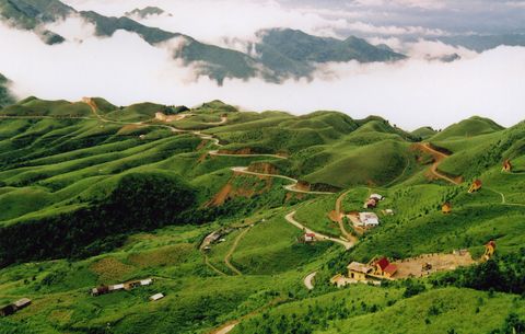 Mẫu Sơn - Điểm hẹn du xuân hấp dẫn của những người yêu chạy bộ