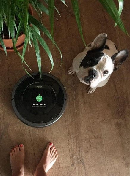 Tại sao iRobot Roomba là lựa chọn hàng đầu cho robot hút bụi tự động?