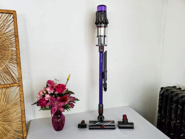 máy hút bụi dyson v11 animal