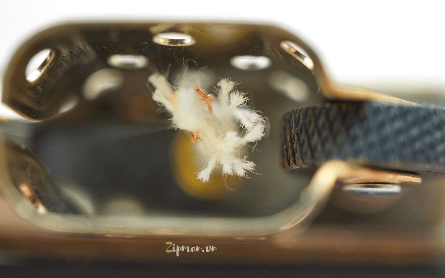 Cụm tim thanh mảnh của zippo xịn