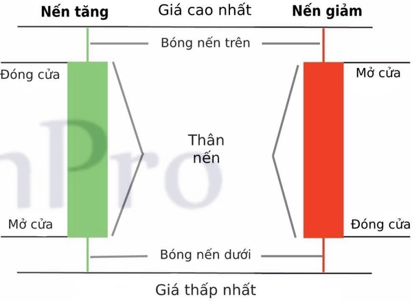 N n Nh t V 16 M H nh C B n Th i B o T i Ch nh n-n-nh-t-v-16-m-h-nh-c-b-n-th-i-b-o-t-i-ch-nh