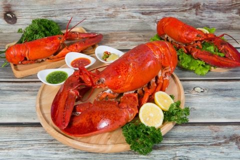 Bài thuốc từ tôm hùm chữa bệnh tốt thế nào?