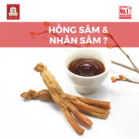 SO SÁNH HỒNG SÂM VÀ NHÂN SÂM