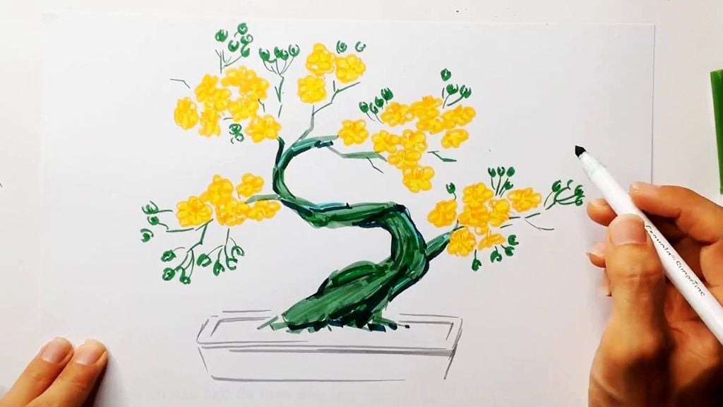 Xem hơn 48 ảnh về hình vẽ hoa mai ngày tết - daotaonec