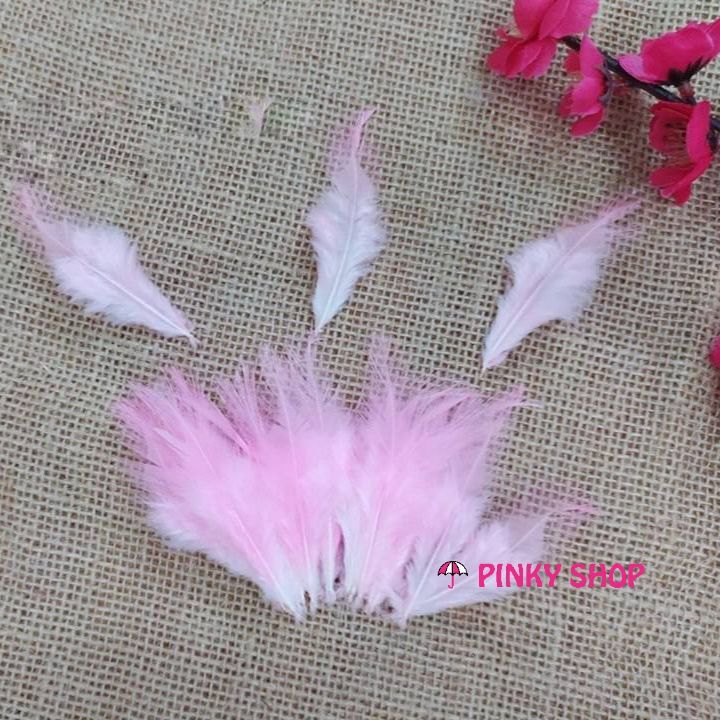Lông vũ nhỏ màu hồng nhạt 1 - Mã LHN1