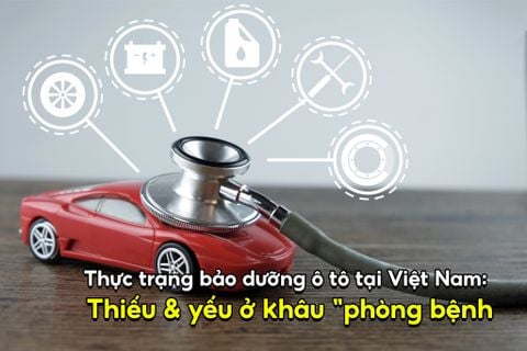 Thực trạng bảo dưỡng xe tại Việt Nam và xu hướng tất yếu chuyển đổi sang bảo dưỡng nhanh