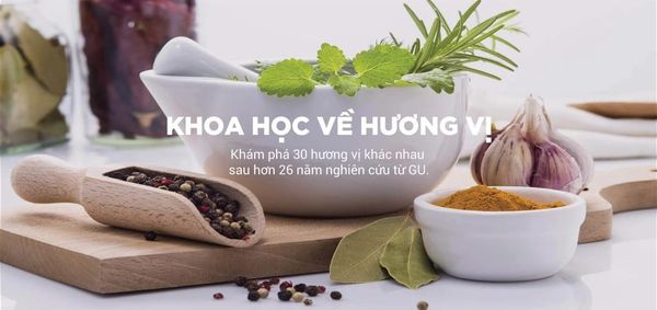 KHOA HỌC HƯƠNG VỊ GU ENERGY