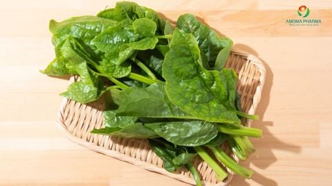 Top 5 loại lá cây trị táo bón hiệu quả, dễ tìm và an toàn