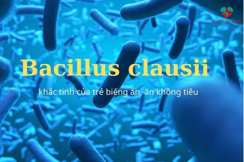 Bacillus clausii là gì? Và có tác dụng gì với hệ tiêu hóa của trẻ ?