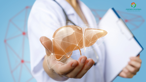 Top 5 Cách Bảo Vệ Gan Đơn Giản Tại Nhà – Có Nên Dùng Infonic Không?
