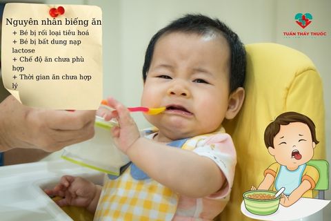 Chuyên gia giải đáp: Bé biếng ăn chậm tăng cân nên bổ sung gì?