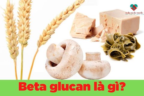 Beta glucan là gì? Beta glucan có trong thực phẩm nào?